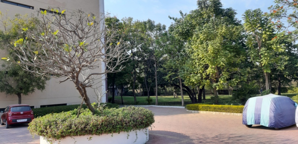 Welcome Back Boarders