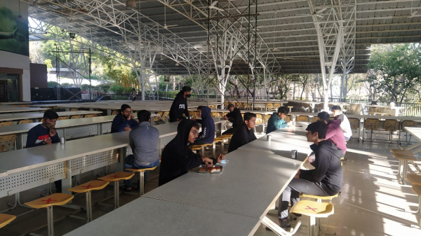 Welcome Back Boarders