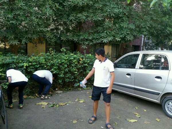 IAYP Boarding Social Service