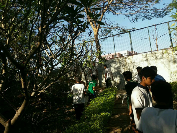 IAYP Boarding Social Service