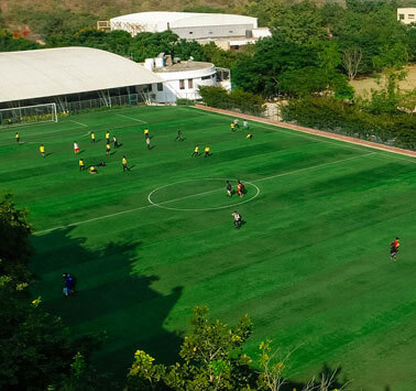 Indoor & Outdoor Complex